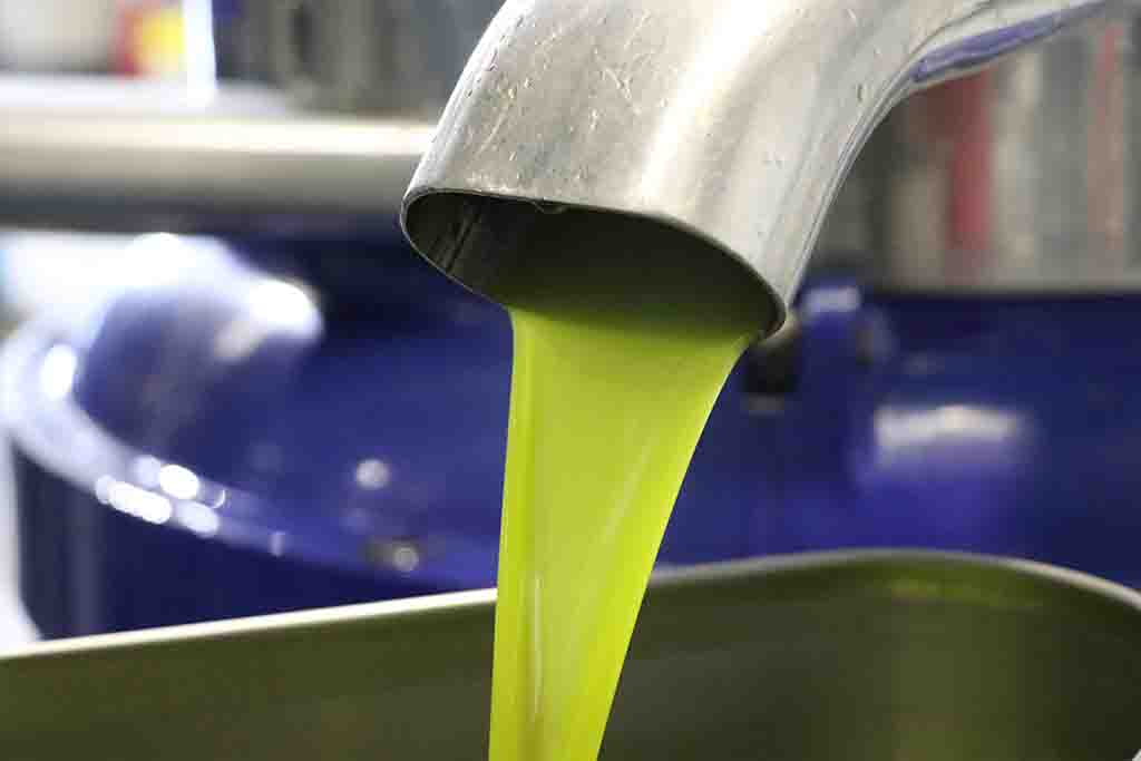 Organic Extra Virgin Olive Oil